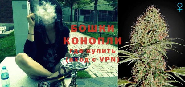 ECSTASY Белокуриха