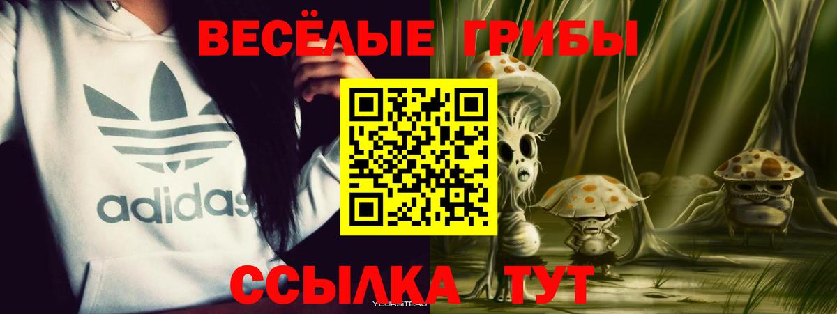Свободный  Псилоцибиновые грибы Psilocybine cubensis  Псилоцибиновые грибы Psilocybe  купить наркотик  Вход с VPN 
